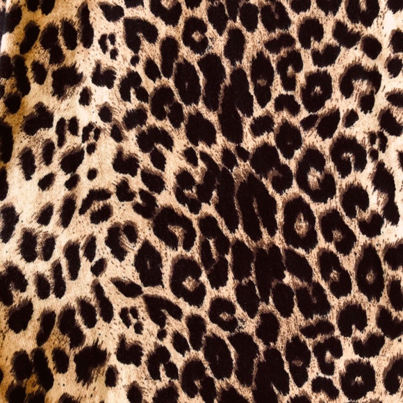 Animal Print Pants - Picture 7 of 10